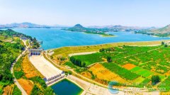 <b>动510个项目落地</b>